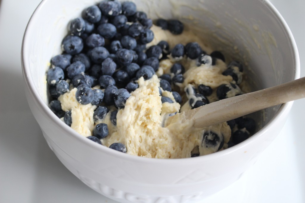 blueberry lemon crumb cake from the domesticated wolf