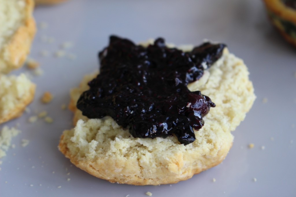 blueberry chia jam from the domesticated wolf 
