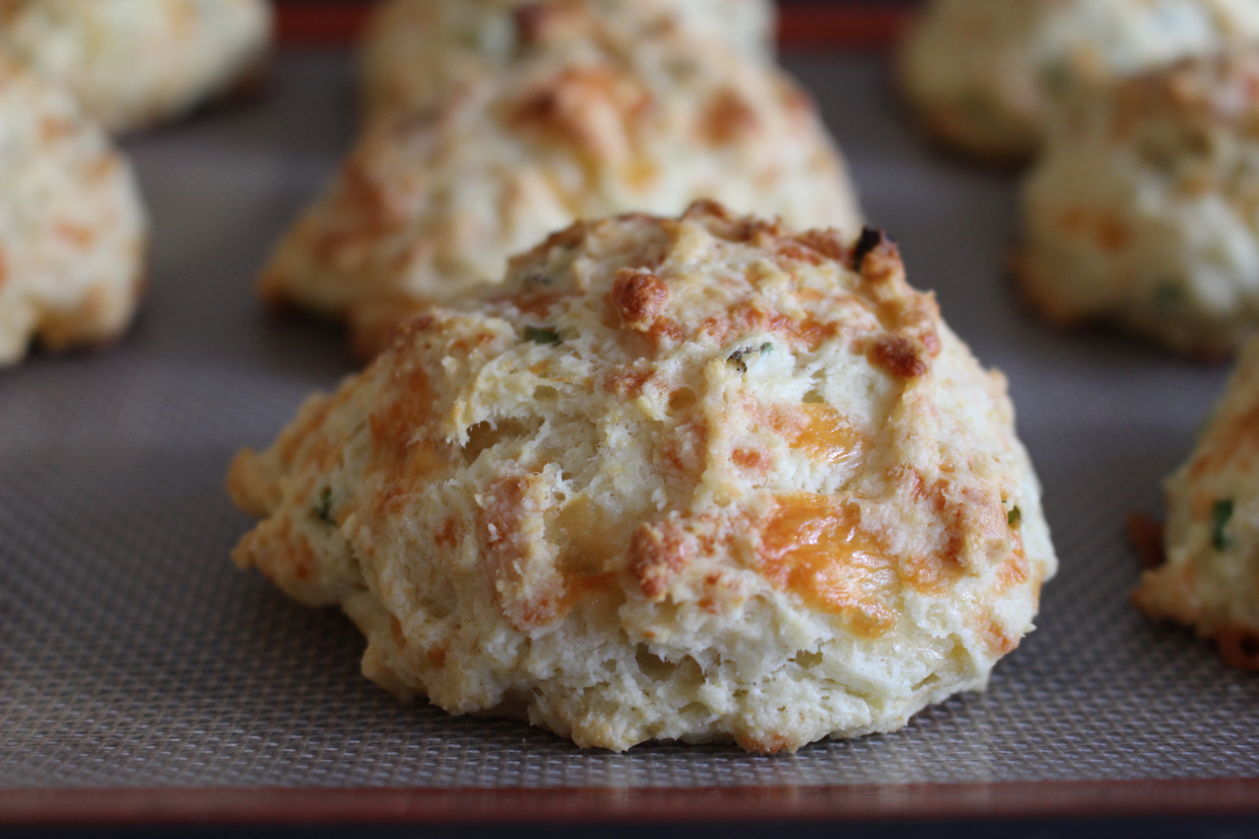 cheddar and chive biscuits from the domesticated wolf