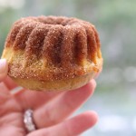homemade mini pumpkin cakes with cinnamon sugar