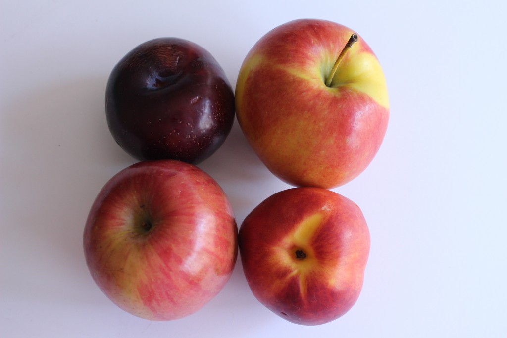 fresh fruit for healthy travel