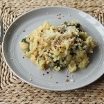 Risotto with Spinach, White Beans and Garlic | The Domesticated Wolf