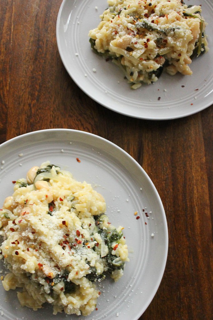 Homemade Risotto | The Domesticated Wolf