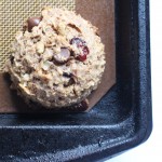 chocolate lactation cookies || the domesticated wolf