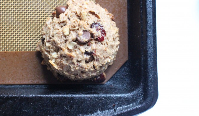 chocolate lactation cookies || the domesticated wolf