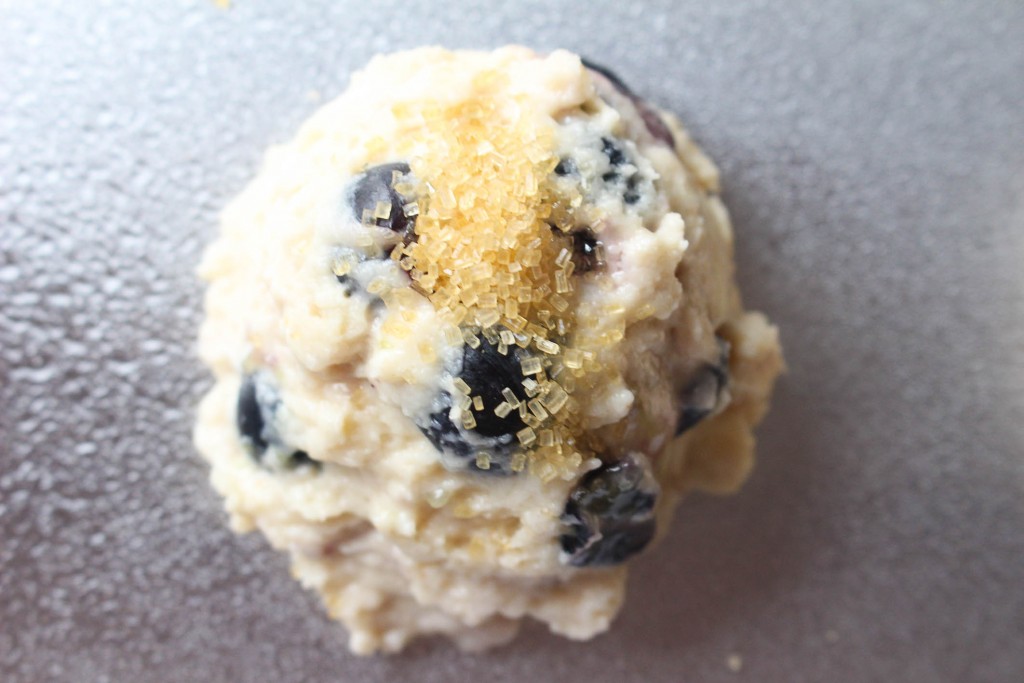 blueberry and lemon scone recipe || the domesticated wolf