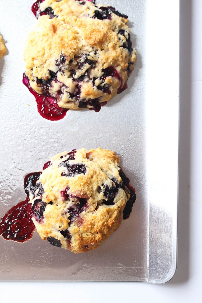 how to make blueberry biscuits || the domesticated wolf