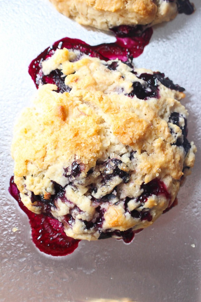 blueberry lemon buttermilk biscuits || the domesticated wolf