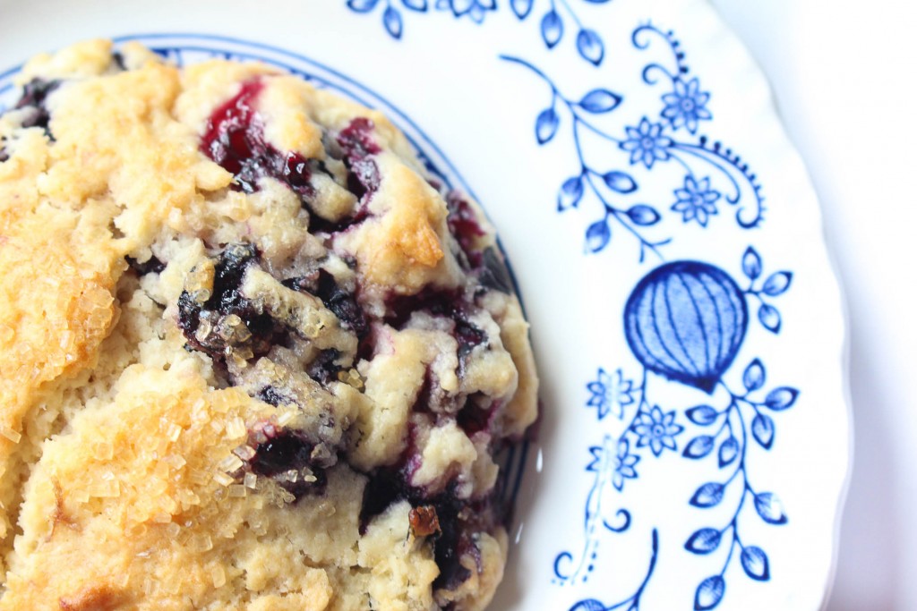 homemade blueberry biscuit recipe || the domesticated wolf