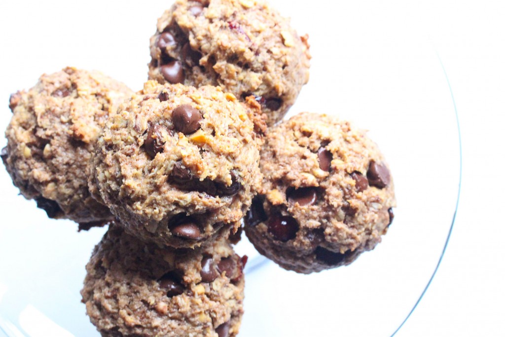 homemade lactation cookie recipe || the domesticated wolf