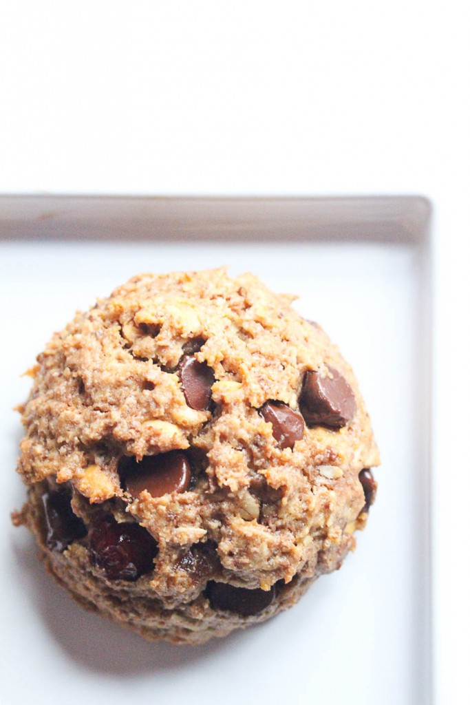 easy lactation cookie recipe || the domesticated wolf